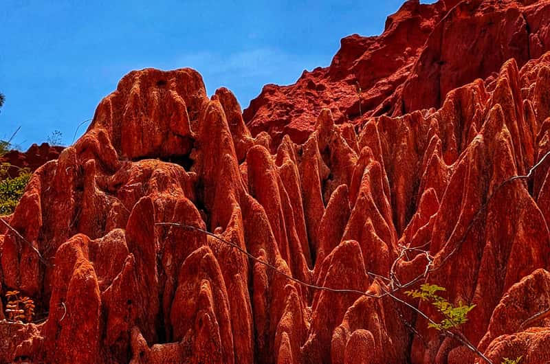 Paysage impressionnant Tsingy