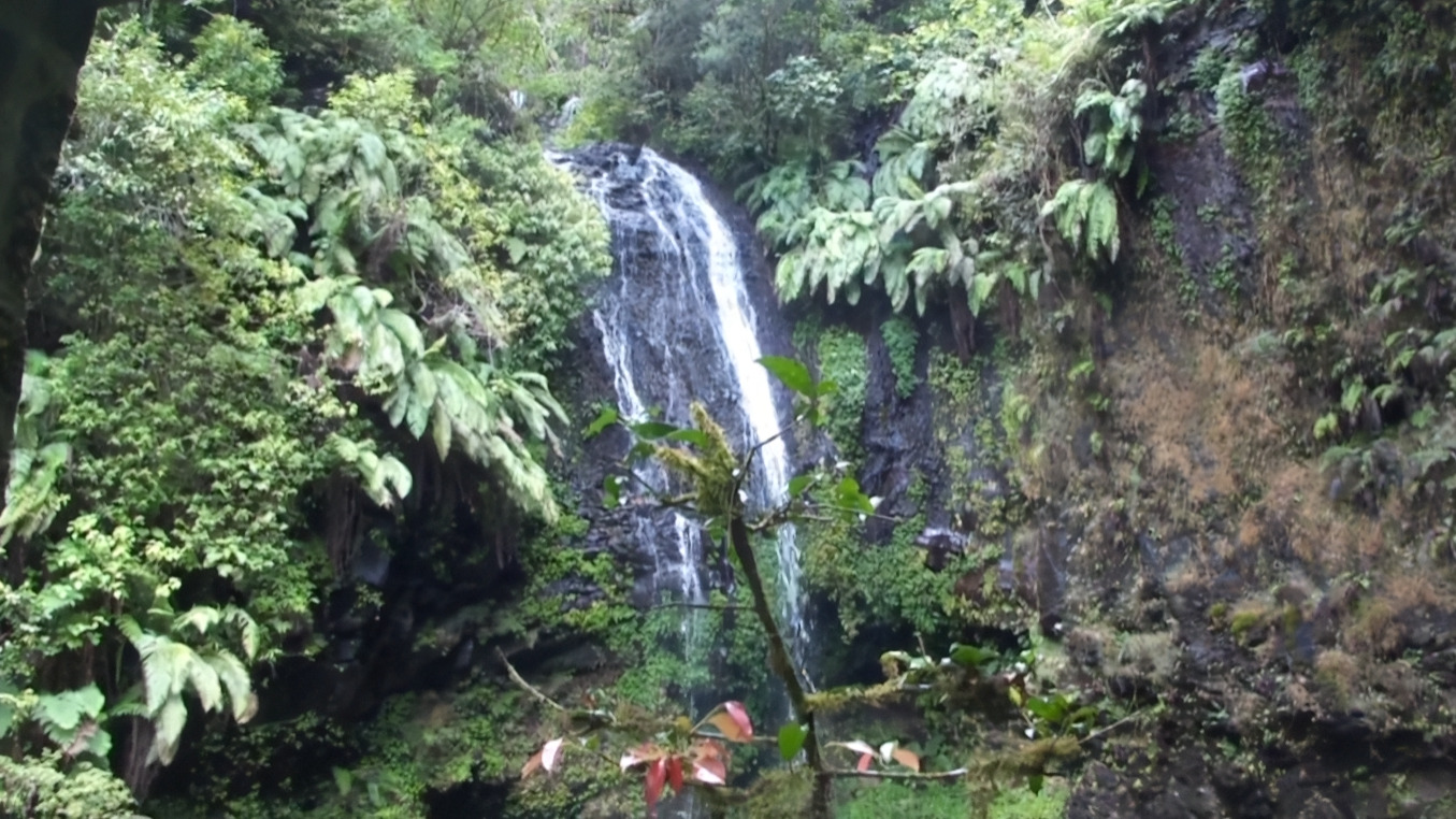 Montagne d'Ambre 5
