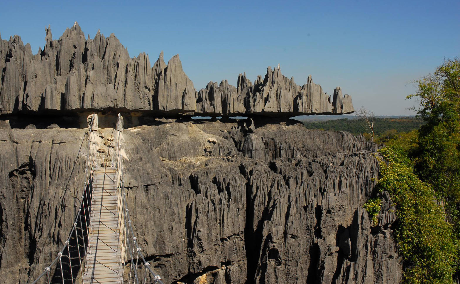 Pont suspendu