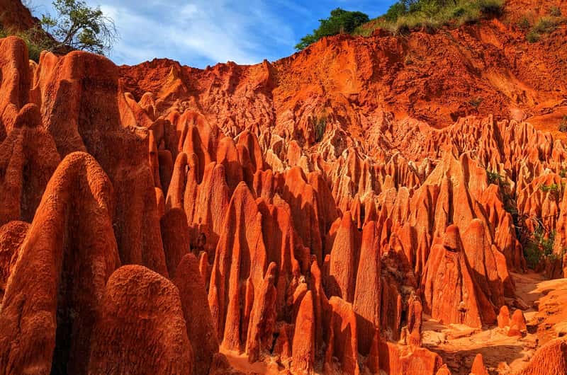 Rocheuse rouge Tsingy