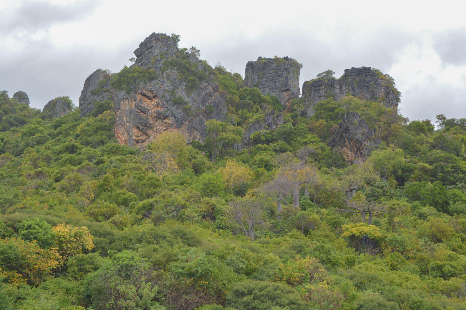 Rochers et paysage vert